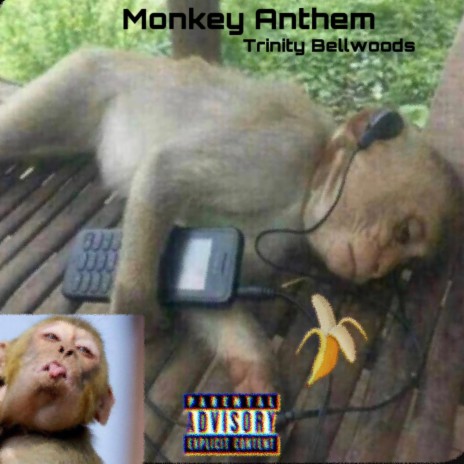 Monkey Anthem | Boomplay Music