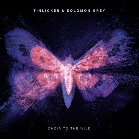 Choir To The Wild ft. Solomon Grey | Boomplay Music