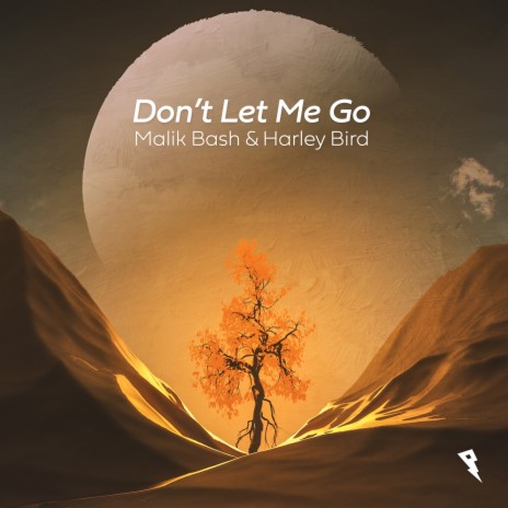 Don't Let Me Go ft. Harley Bird | Boomplay Music