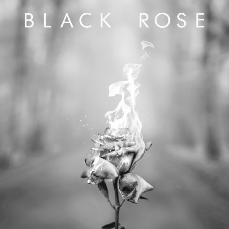 Black Rose