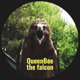 The Falcon