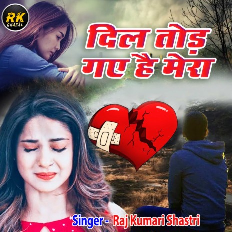 Dil Tod Gaye Hai Mera | Boomplay Music