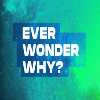 Ever Wonder Why?-Why Can’t I Stop?