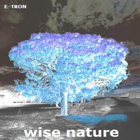 WISE NATURE | Boomplay Music