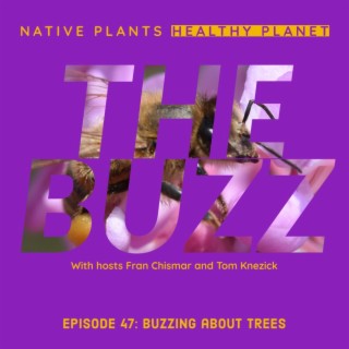 The Buzz - Buzzing About Trees