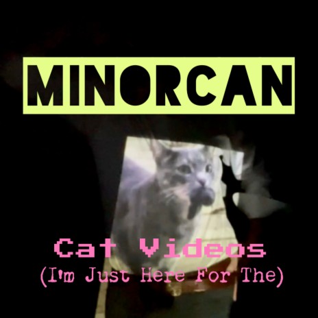 Cat Videos (I'm Just Here For The)