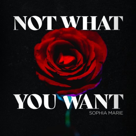 Not What You Want | Boomplay Music