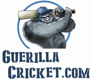 Guerilla Crickets Year Review Part 3