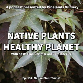 Native Plants Trivia!