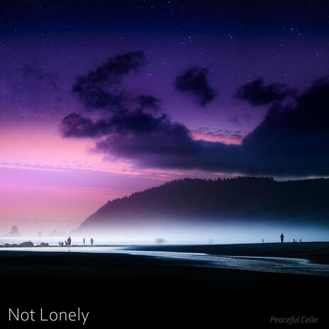 Not Lonely | Boomplay Music