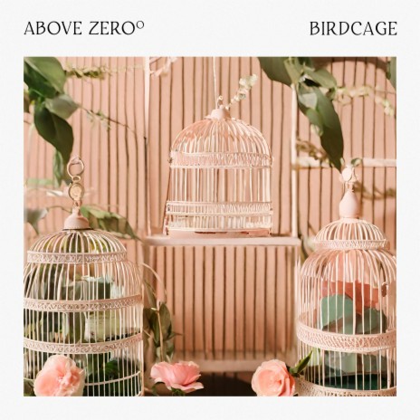 Birdcage