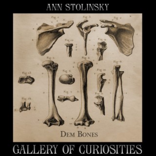 Dem Bones by Ann Stolinsky