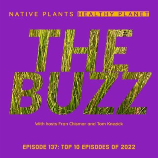 The Buzz - Top 10 Episodes of All-Time