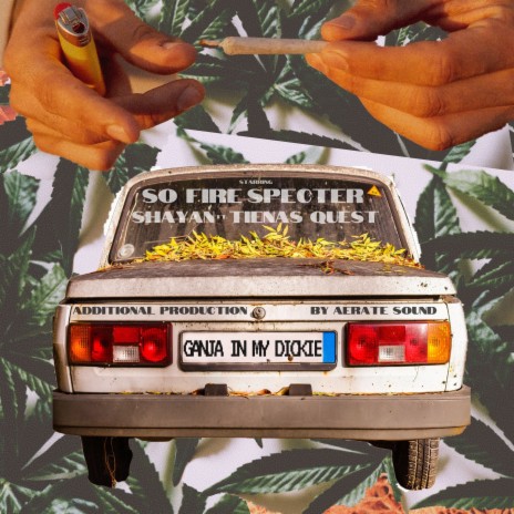 Ganja In My Dickie (G.I.M.D.) ft. Shayan Roy, Specter, Tienas, Quest & Aerate Sound | Boomplay Music