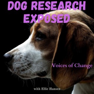 Stop Taxpayer-Funded Experiments on Dogs