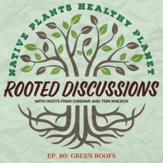 Rooted Discussions - Green Roofs