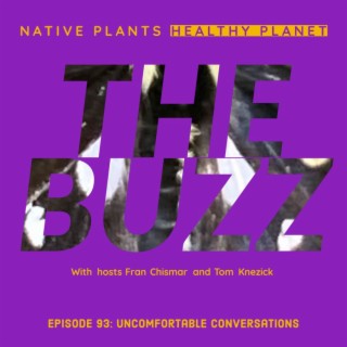 The Buzz - Uncomfortable Conversations