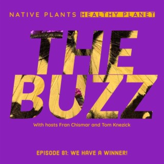 The Buzz - We Have a Winner!