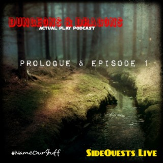 Ep.1- D&D - Prologue and Episode 1 - ”Darkness at the Sow” - Morally Ambiguous’ start of homebrew - Campaign #2