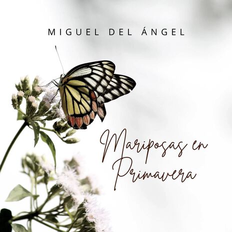 Mariposas En Primavera | Boomplay Music