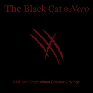 The Black Cat Nero