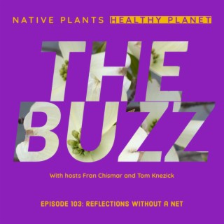 The Buzz - Reflections Without A Net