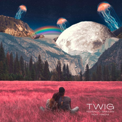 Twig ft. Hindya | Boomplay Music