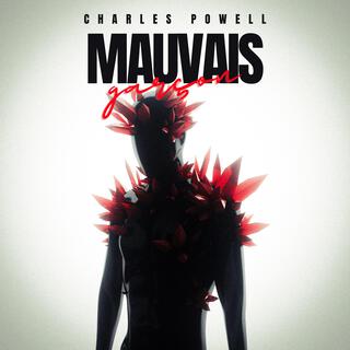 Mauvais Garcon (Radio Edit) lyrics | Boomplay Music