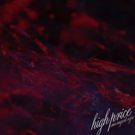 High Price | Boomplay Music