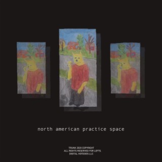 north american practice space