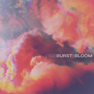 The Burst and Bloom