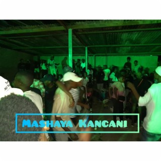 Mashaya Kancani