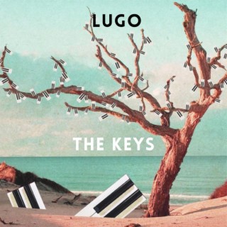 The keys