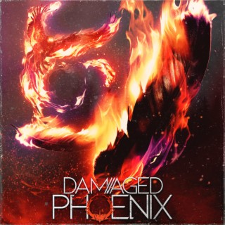 Damaged Phoenix