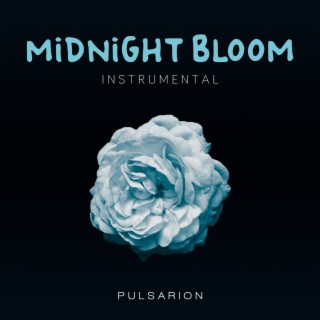 Midnight Bloom