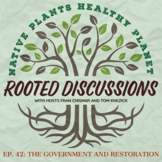 Rooted Discussions - The Government and Restoration