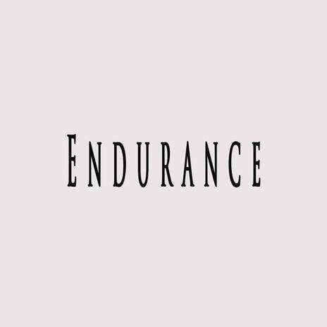 Endurance | Boomplay Music