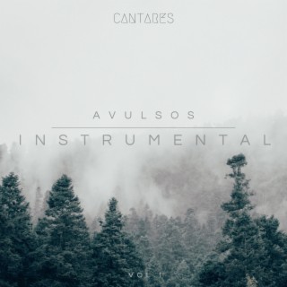 Avulsos Instrumental, Vol.1