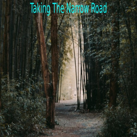 Taking The Narrow Road | Boomplay Music