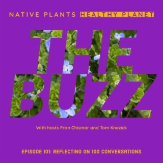 The Buzz - Reflecting On 100 Conversations