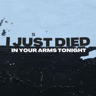 i just died in your arms tonight (Acoustic)