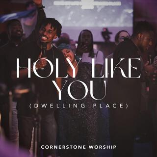 Holy Like You (Dwelling Place)