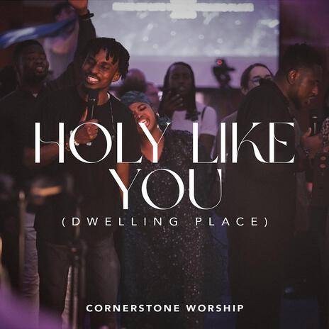 Holy Like You (Dwelling Place) | Boomplay Music