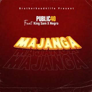 Majanga (feat. kingsam & negro)