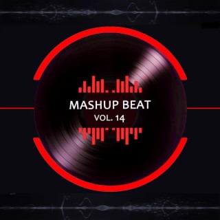 Mashup Beat Vol. 14 (Special Instrumental Versions (Tribute To George Ezra, Adele))