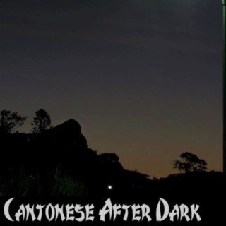 Cantonese After Dark - Asian American Story