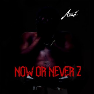 Now Or Never 2