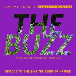 The Buzz - Smelling the Seeds of Nature