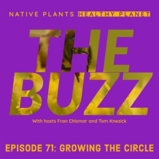 The Buzz - Growing the Circle
