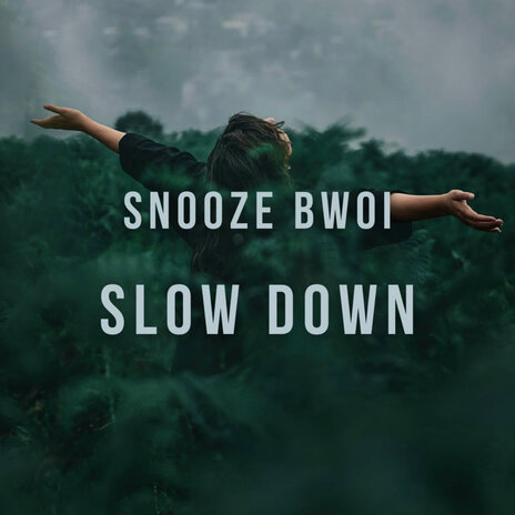 Slow Down ft. Snooze Bwoi | Boomplay Music